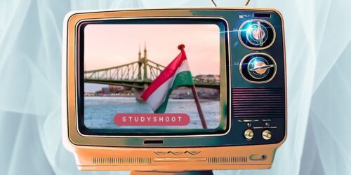 دراسة الطب البيطري في هنغاريا