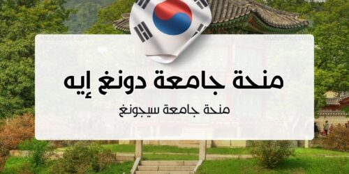 منحة جامعة دونغ إيه