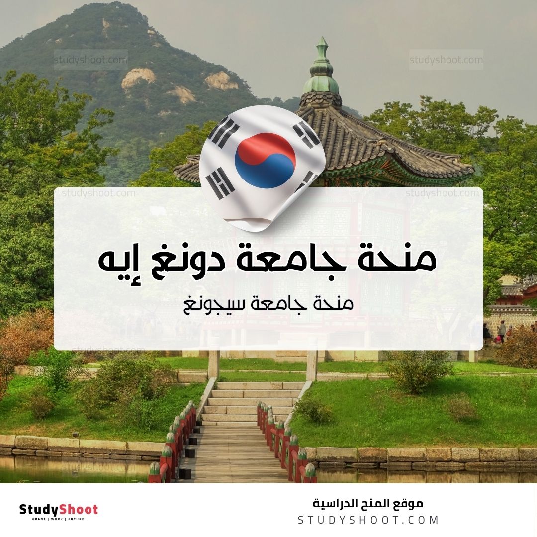 منحة جامعة دونغ إيه