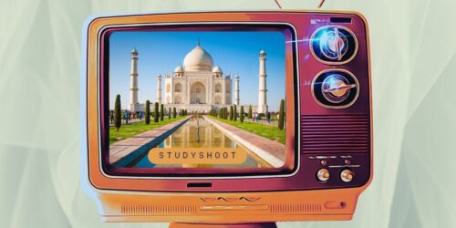 دراسة الطب البيطري في الهند