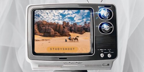 دراسة الاقتصاد في الجزائر