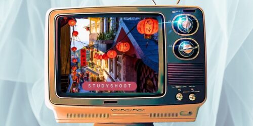 دراسة الطب البيطري في تايوان