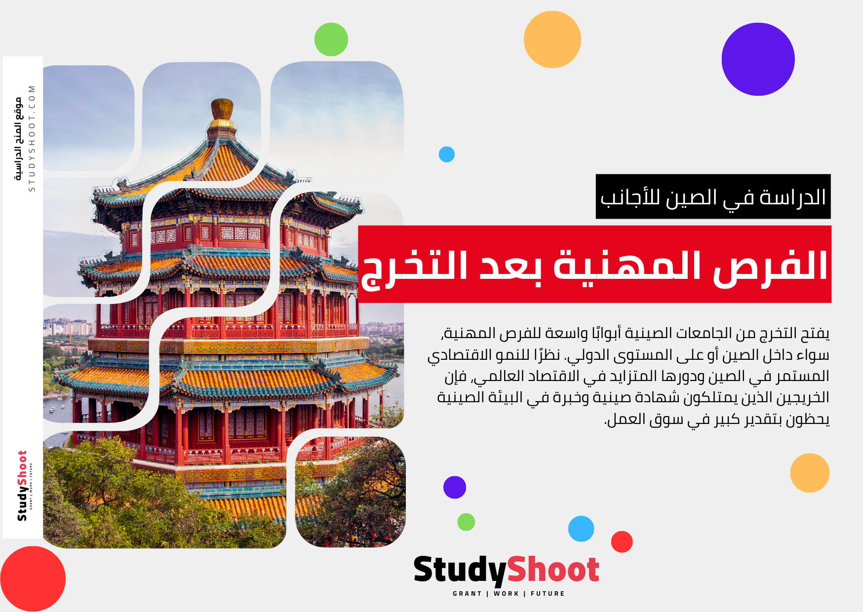 الفرص المهنية بعد التخرج