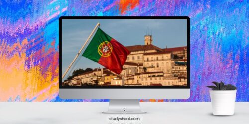 أهم تخصصات الدراسة في البرتغال