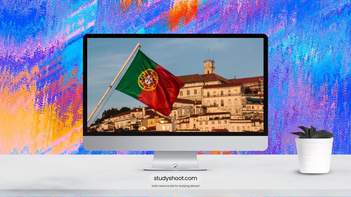 أهم تخصصات الدراسة في البرتغال