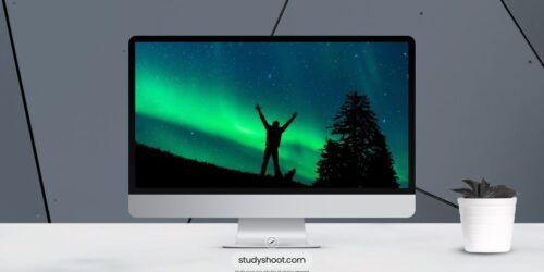 أهم تخصصات الدراسة في فنلندا