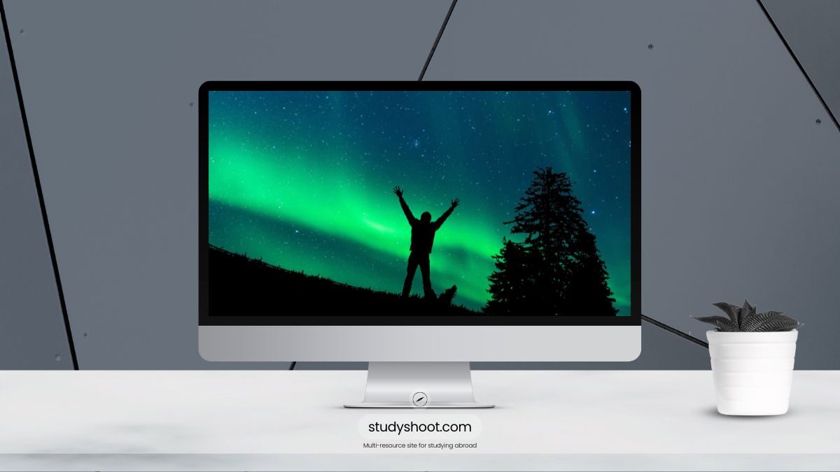 أهم تخصصات الدراسة في فنلندا