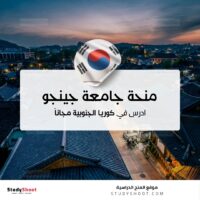 منحة جامعة جينجو