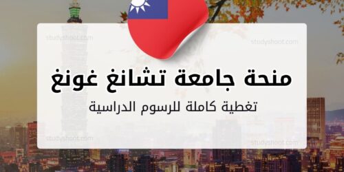 منحة جامعة تشانغ غونغ