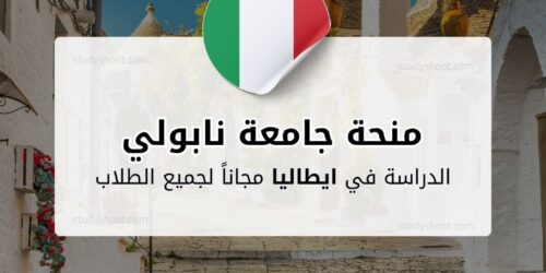 منحة جامعة نابولي