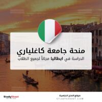 منحة جامعة كاغلياري