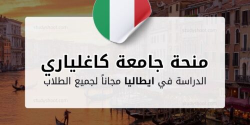 منحة جامعة كاغلياري