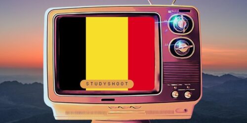 دراسة الهندسة البترولية في بلجيكا