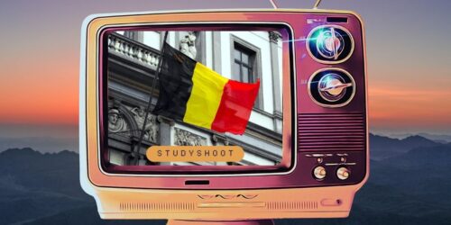 دراسة العلوم الاجتماعية في بلجيكا