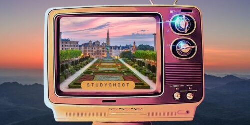 العمل في بلجيكا