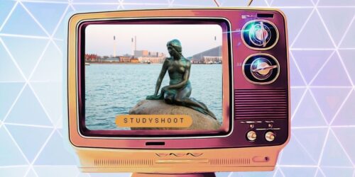 دراسة العلوم الإدارية في الدنمارك