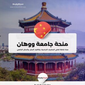 منحة جامعة ووهان
