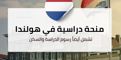 منحة الطب في هولندا