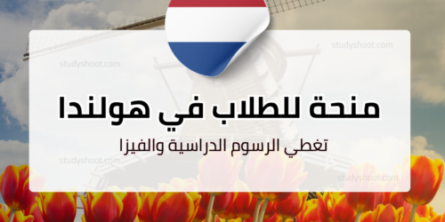 منحة جامعة فريجي أمستردام