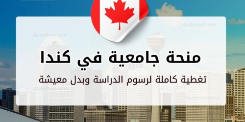 منحة جامعة كيب بريتون