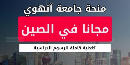 منحة جامعة آنهوي