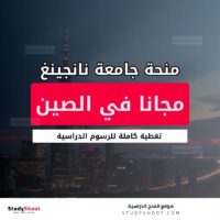 منحة جامعة نانجينغ