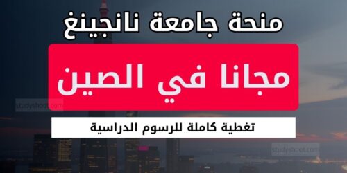 منحة جامعة نانجينغ