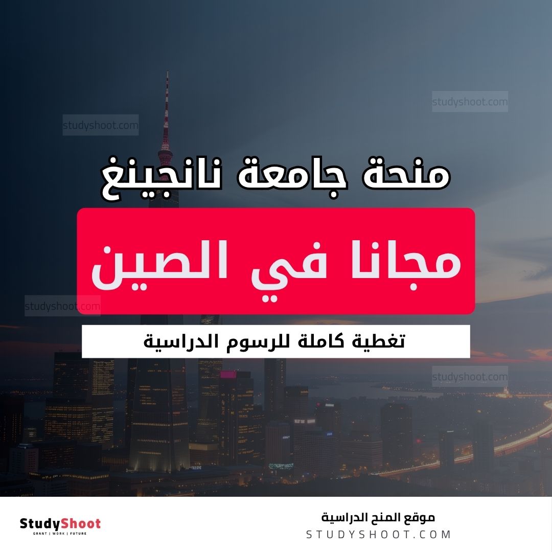 منحة جامعة نانجينغ