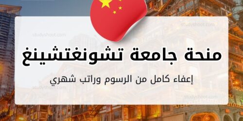 منحة جامعة تشونغتشينغ