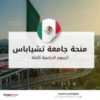 منحة جامعة تشياباس