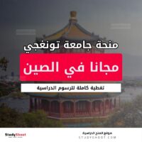 منحة جامعة تونغجي