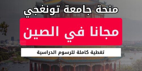 منحة جامعة تونغجي