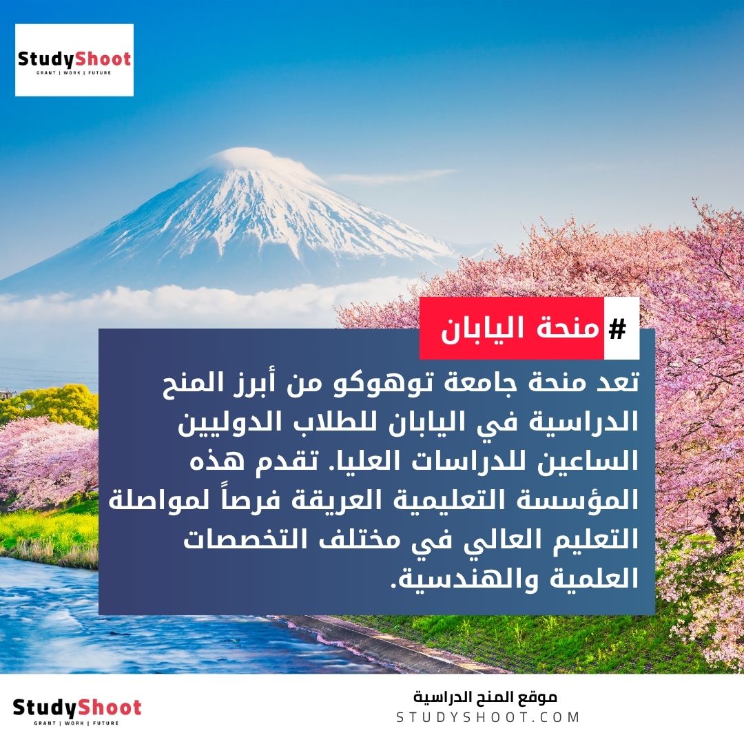 منحة جامعة توهوكو