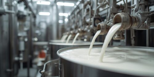 أوسبيلدونغ تصنيع الألبان