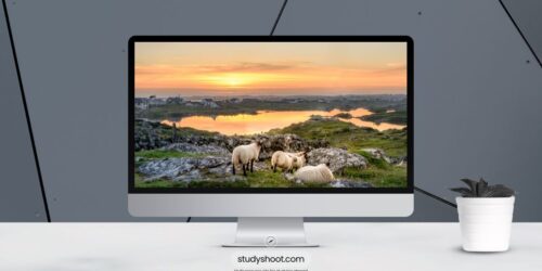 العمل أثناء الدراسة في إيرلندا