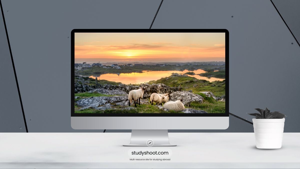 العمل أثناء الدراسة في إيرلندا