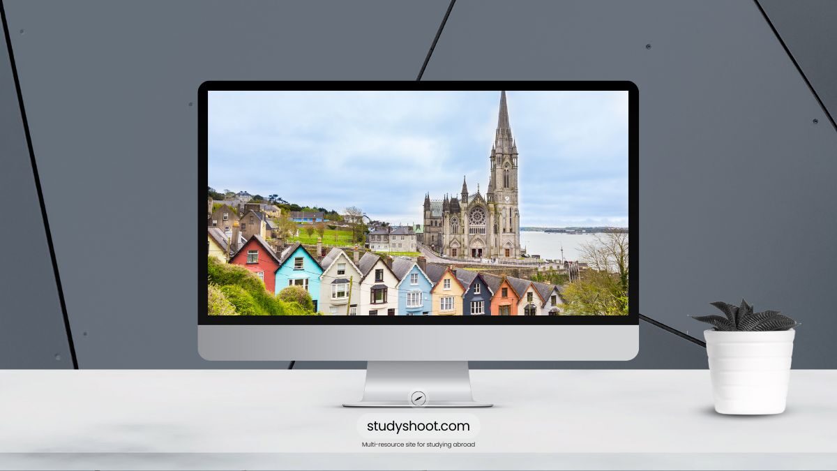 لم الشمل في إيرلندا