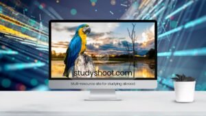 التأمين الصحي للطلاب في البرازيل STUDYSHOOT