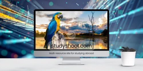 التأمين الصحي للطلاب في البرازيل