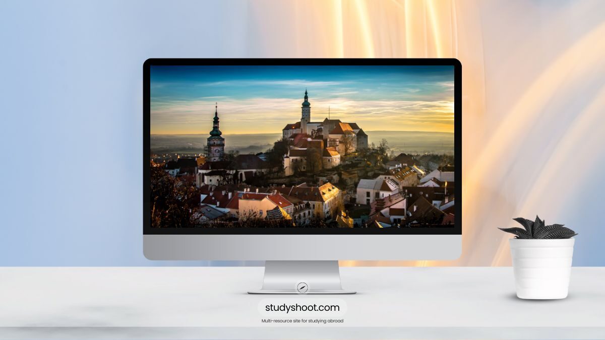 أهم تخصصات الدراسة في التشيك