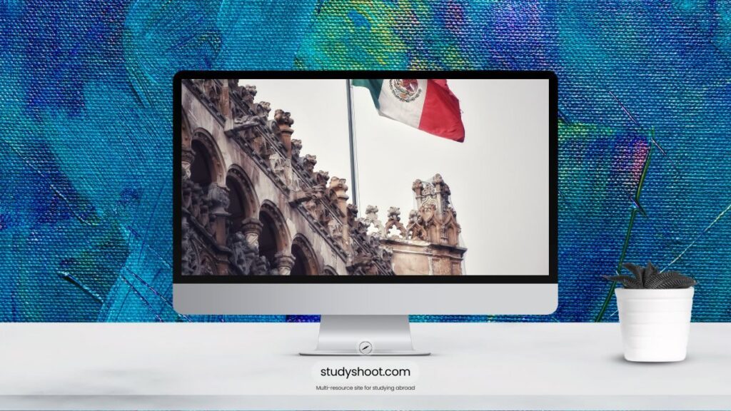 العمل في المكسيك