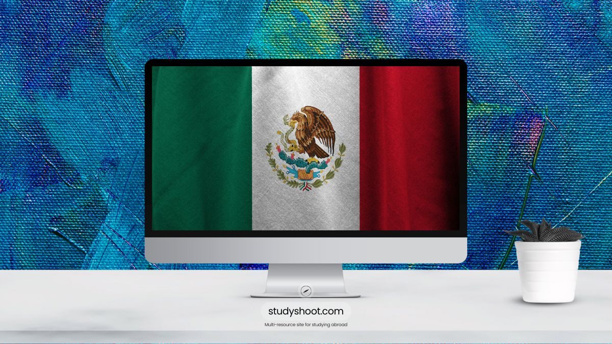 تخصصات الدراسة في المكسيك