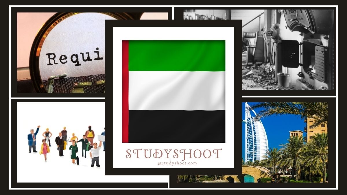 مهن لا تحتاج شهادات في الإمارات