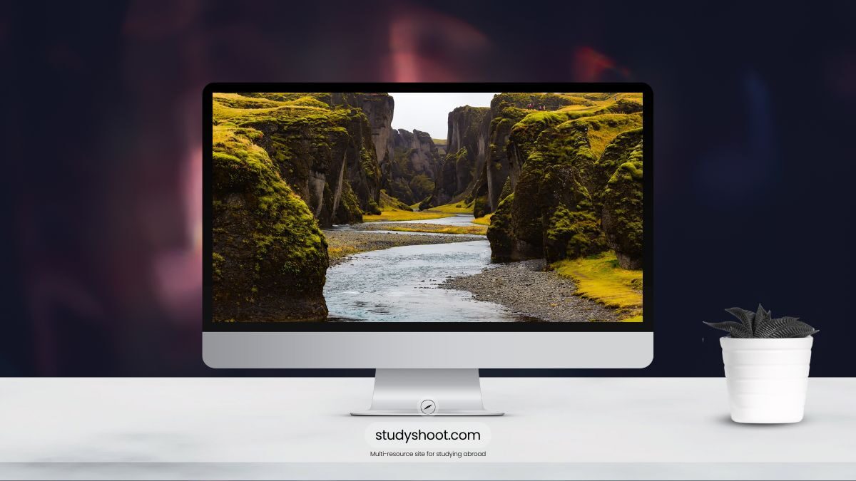 فيزا الطالب إلى آيسلندا