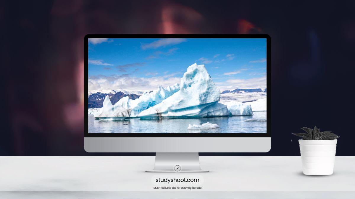 لم الشمل في ايسلندا