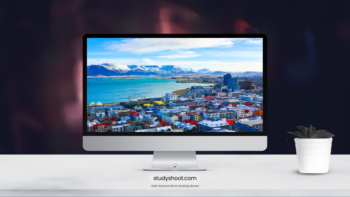 أهم تخصصات الدراسة في ايسلندا: 15 تخصص جامعي مطلوب