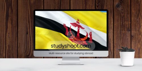 التأمين الصحي للطلاب في بروناي