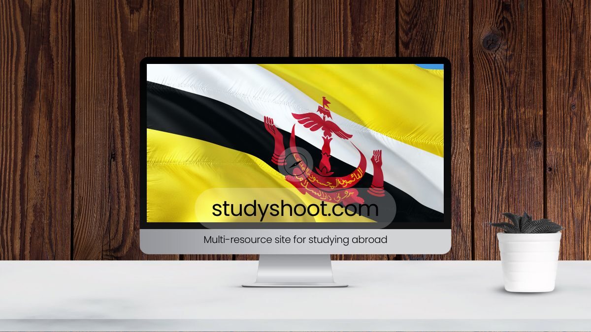 التأمين الصحي للطلاب في بروناي