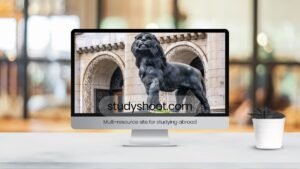 منحة جامعة كونستانتين شومن STUDYSHOOT