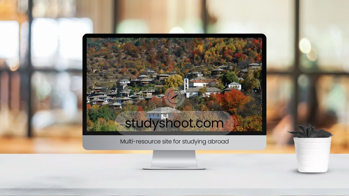 منحة المدرسة العليا للتأمين والتمويل STUDYSHOOT